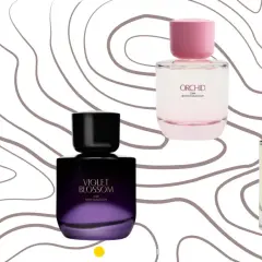 Perfumy Zara Sublime Epoque, Violet Blossom, Ebony Wood i Orchid Bloom Collection. Szukasz odpowiednika Zara Orchid?