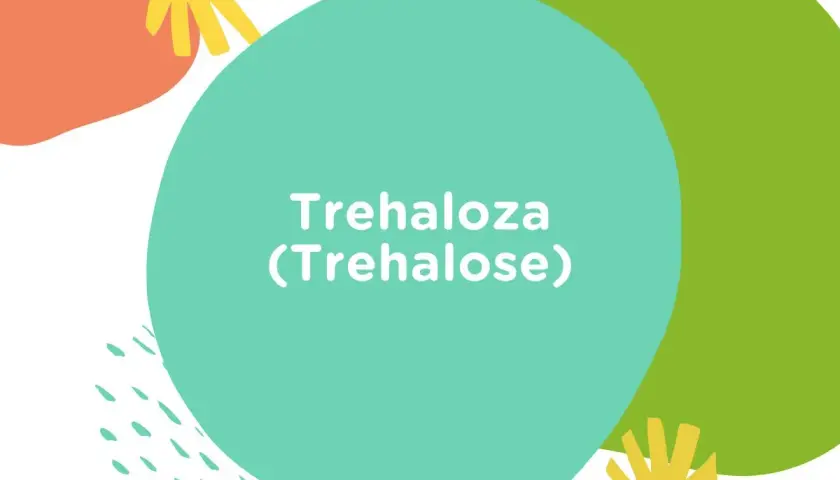 Kolorowe kształty i tekst "Trehaloza (Trehalose)". Ta substancja, trehaloza, jest cukrem występującym naturalnie.